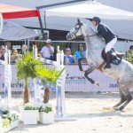 Show Jumping_56